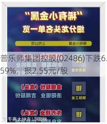 普乐师集团控股(02486)下跌6.59%，报2.55元/股