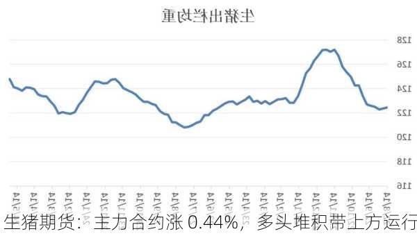 生猪期货：主力合约涨 0.44%，多头堆积带上方运行