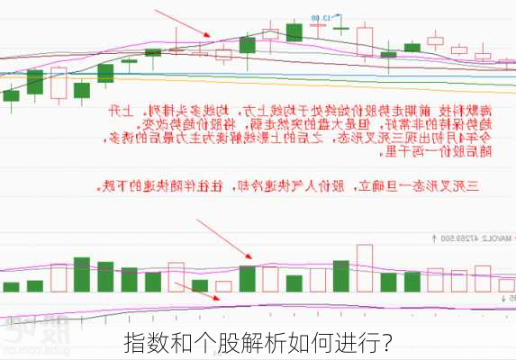 指数和个股解析如何进行？