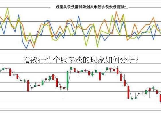 指数行情个股惨淡的现象如何分析？