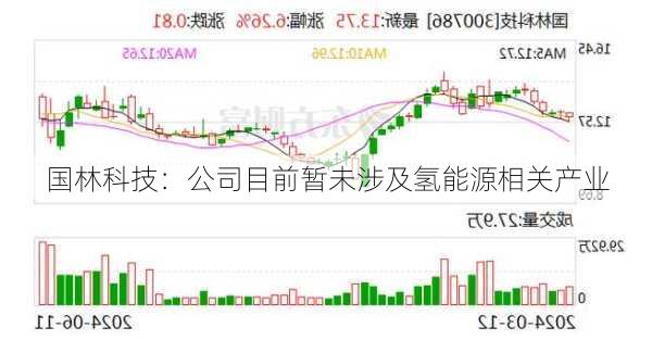 国林科技：公司目前暂未涉及氢能源相关产业