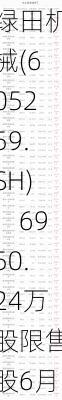 绿田机械(605259.SH)：6950.24万股限售股6月18日解禁