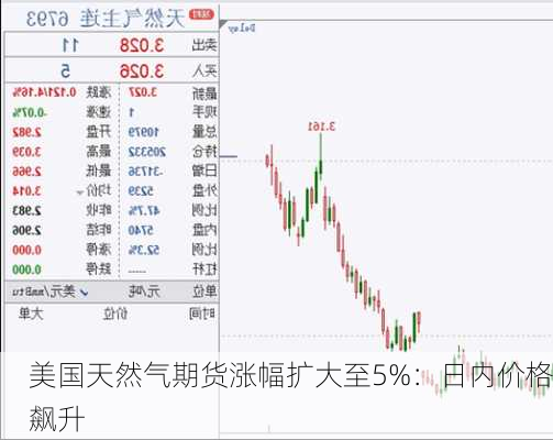 美国天然气期货涨幅扩大至5%：日内价格飙升