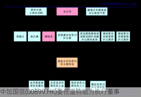 中加国信(00899.HK)委任温钧贻为执行董事