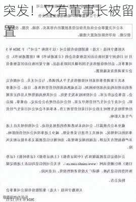 突发！又有董事长被留置