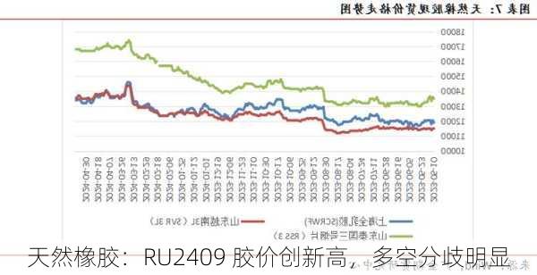 天然橡胶：RU2409 胶价创新高，多空分歧明显