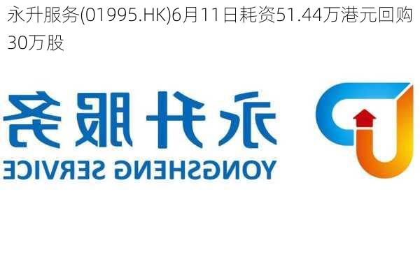 永升服务(01995.HK)6月11日耗资51.44万港元回购30万股