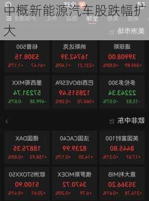 中概新能源汽车股跌幅扩大