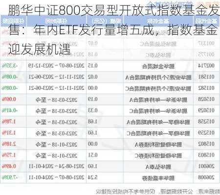 鹏华中证800交易型开放式指数基金发售：年内ETF发行量增五成，指数基金迎发展机遇