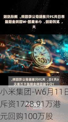 小米集团-W6月11日斥资1728.91万港元回购100万股