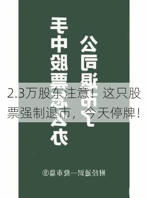 2.3万股东注意！这只股票强制退市，今天停牌！