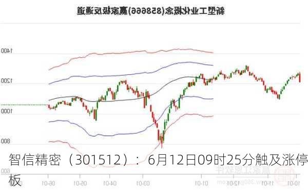 智信精密（301512）：6月12日09时25分触及涨停板