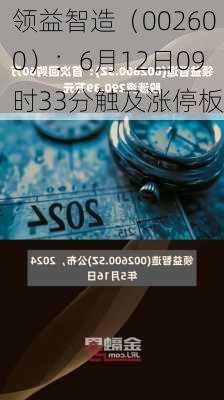 领益智造（002600）：6月12日09时33分触及涨停板