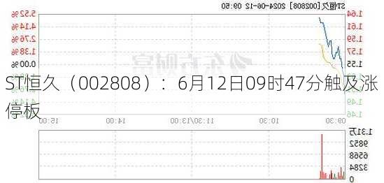 ST恒久（002808）：6月12日09时47分触及涨停板