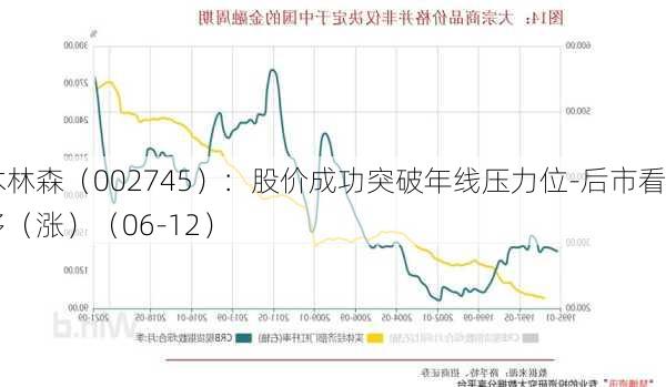 木林森（002745）：股价成功突破年线压力位-后市看多（涨）（06-12）