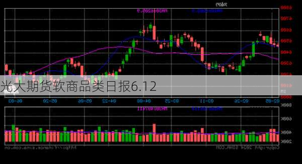 光大期货软商品类日报6.12