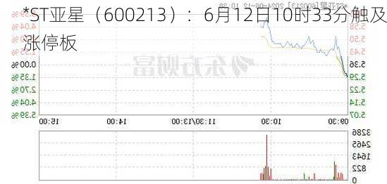 *ST亚星（600213）：6月12日10时33分触及涨停板