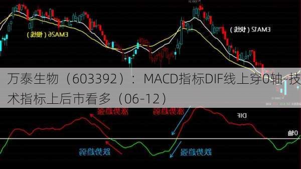 万泰生物（603392）：MACD指标DIF线上穿0轴-技术指标上后市看多（06-12）