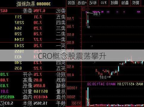 CRO概念股震荡攀升