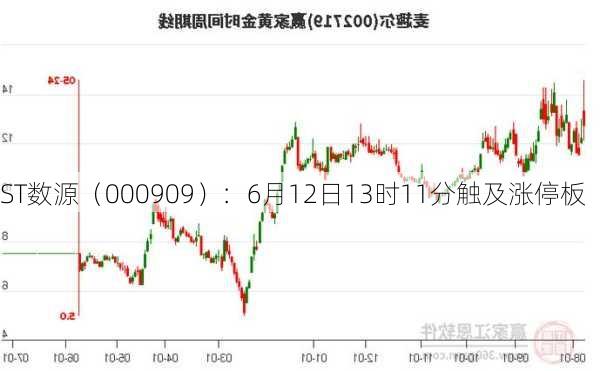 ST数源（000909）：6月12日13时11分触及涨停板