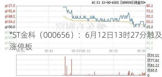 *ST金科（000656）：6月12日13时27分触及涨停板
