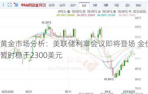 黄金市场分析：美联储利率会议即将登场 金价暂时稳于2300美元