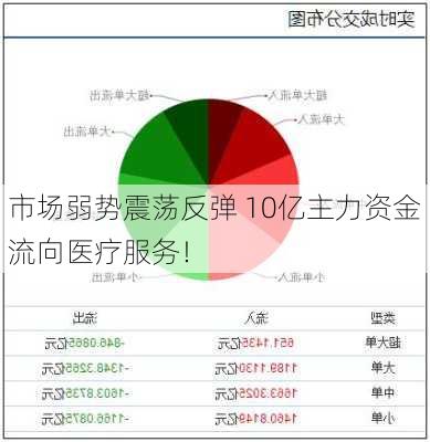 市场弱势震荡反弹 10亿主力资金流向医疗服务！