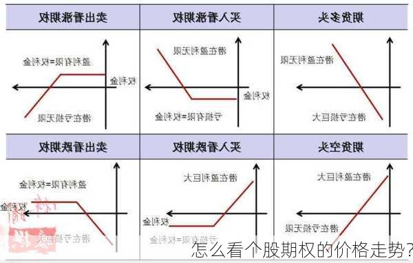 怎么看个股期权的价格走势？