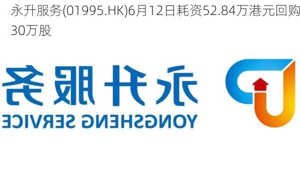 永升服务(01995.HK)6月12日耗资52.84万港元回购30万股