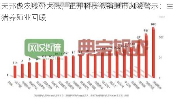 天邦傲农股价大涨，正邦科技撤销退市风险警示：生猪养殖业回暖