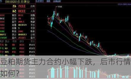 豆粕期货主力合约小幅下跌，后市行情如何？