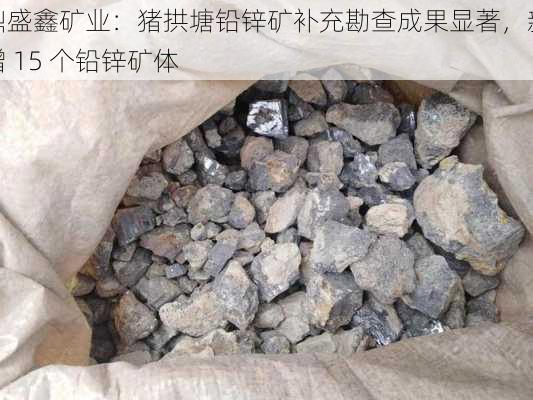 鼎盛鑫矿业：猪拱塘铅锌矿补充勘查成果显著，新增 15 个铅锌矿体