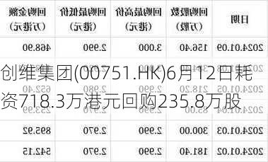 创维集团(00751.HK)6月12日耗资718.3万港元回购235.8万股