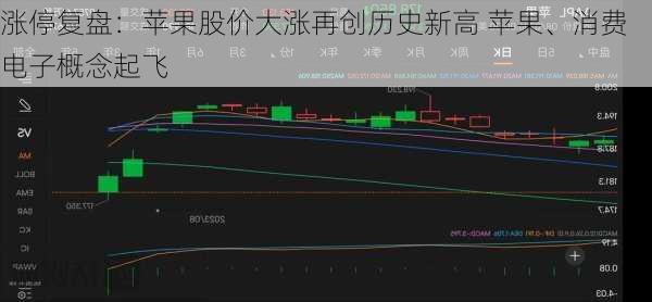 涨停复盘：苹果股价大涨再创历史新高 苹果、消费电子概念起飞