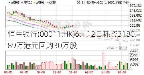 恒生银行(00011.HK)6月12日耗资3180.89万港元回购30万股