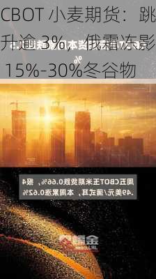 CBOT 小麦期货：跳升逾 3%，俄霜冻影响 15%-30%冬谷物