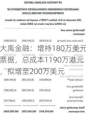 大禹金融：增持180万美元票据，总成本1190万港元，拟增至200万美元