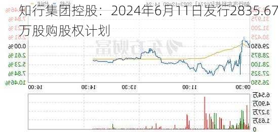 知行集团控股：2024年6月11日发行2835.67万股购股权计划