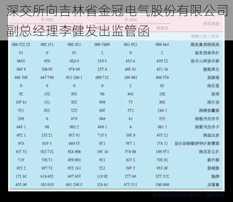 深交所向吉林省金冠电气股份有限公司副总经理李健发出监管函