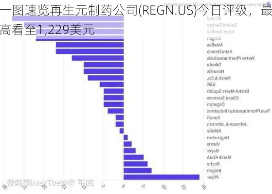 一图速览再生元制药公司(REGN.US)今日评级，最高看至1,229美元