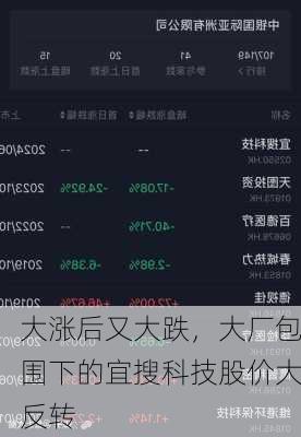 大涨后又大跌，大厂包围下的宜搜科技股价大反转