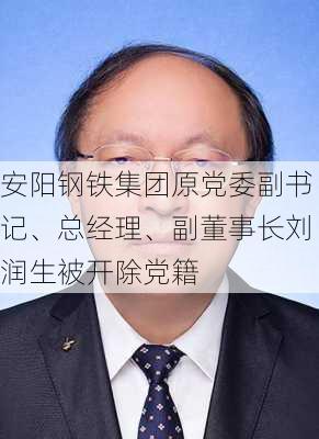 安阳钢铁集团原党委副书记、总经理、副董事长刘润生被开除党籍