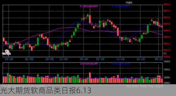 光大期货软商品类日报6.13