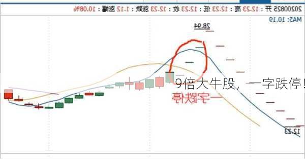 9倍大牛股，一字跌停！