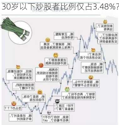 30岁以下炒股者比例仅占3.48%？