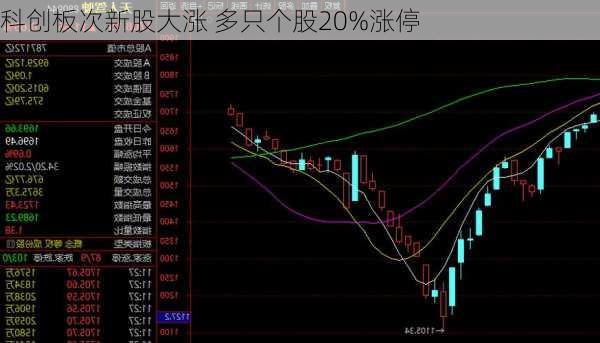 科创板次新股大涨 多只个股20%涨停