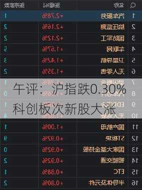 午评：沪指跌0.30% 科创板次新股大涨