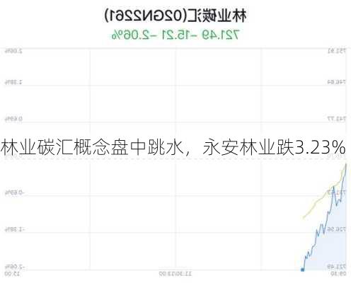 林业碳汇概念盘中跳水，永安林业跌3.23%