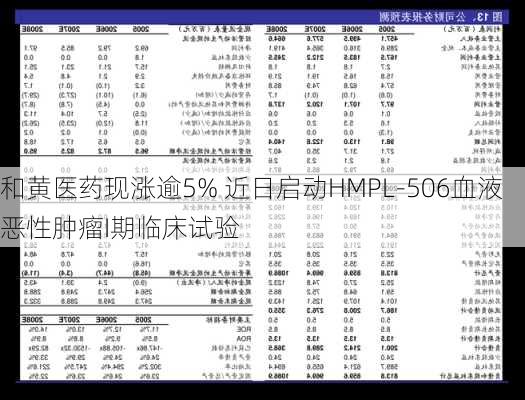 和黄医药现涨逾5% 近日启动HMPL-506血液恶性肿瘤I期临床试验