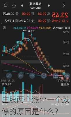 庄股两个涨停一个跌停的原因是什么？